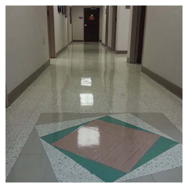 XCS Floor Care